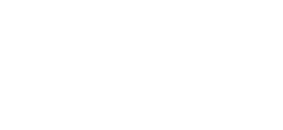 Feeser Insurance