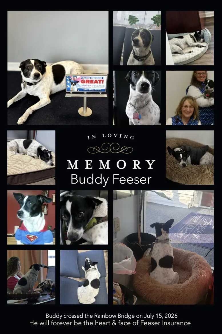 In Loving Memory: a collage of photos of Buddy Feeser, the Feeser Insurance office dog